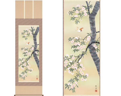 掛軸「桜花に小鳥」　長江桂舟　筆