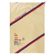 壽堂紙製品 クラフト封筒100枚入 角0 00903 00006165