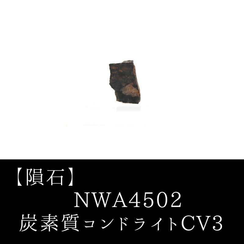 【隕石】NWA4502 炭素質コンドライトCV3 アルジェリア産 2005年 原石 置物
