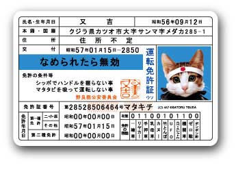 なめ猫 ダイカットビニールステッカー 免許証 LCS447 ステッカー なめ猫グッズ 株式会社 ゼネラルステッカー | 卸売・  問屋・仕入れの専門サイト【NETSEA】