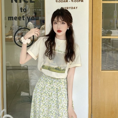 韓国風 新しいデザイン 油絵 半袖tシャツ 気質 フローラル プリーツスカート セッ Www Watsons Biz Id