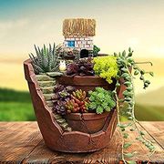 カクタス 多肉 植物 鉢 プランタ- おしゃれ 観葉植物  誕生日 プレゼント 飾り ガ-デニング 「2022新作」