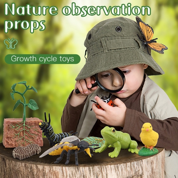 2022  人気   おもちゃ  玩具  ベビー用品  知育玩具 動物 植物 子供用品  遊びもの    子供 可愛い