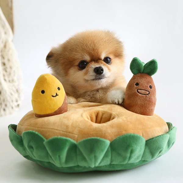 【2022春夏新作】 玩具 ペット 玩具　ドッグウェア 犬猫兼用 ワンちゃん用の玩具　ペット用品 ネコ雑貨