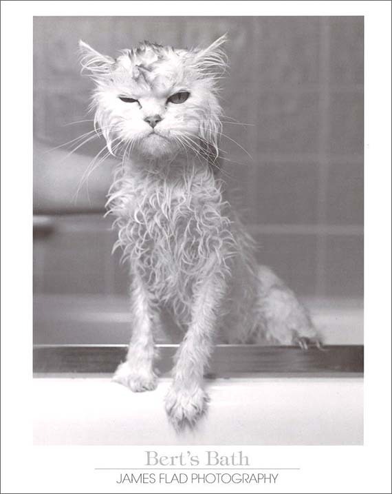 ポスター モノクロ写真「バートのお風呂」インテリア コレクション