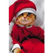 ミニカード クリスマス「猫のサンタさんシリーズ」メッセージカード