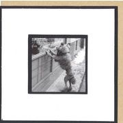 グリーティングカード 多目的/モノクロ写真 クローズリー「靴屋を眺める犬」窓付き