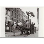 ポストカード モノクロ写真「植物を運ぶ馬車」