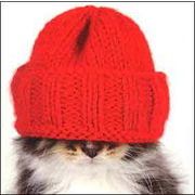 ミニカード クリスマス「帽子をかぶった猫」メッセージカード