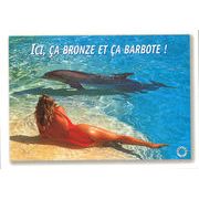 ポストカード サマーカード「イルカと女性」カラ―写真 海 ビーチ 暑中見舞い