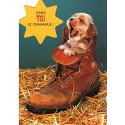 ポストカード カラー写真 ダイカットタイプ 定形外 ブーツに入った子犬