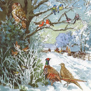 グリーティングカード クリスマス「鳥たち」メッセージカード アオガラ コマドリ