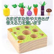 やさい 木製 パズル 野菜 型合わせ モンテッソーリ教具 型はめ おままごと 木のおもちゃ 知育玩具