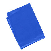 ARTEC 青 カラービニール袋(10枚組) ATC45534
