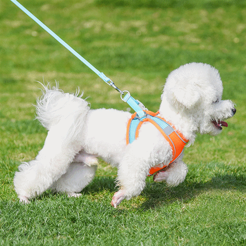 ハーネス 小型犬 犬服 ベストデザイン ペット用品 ハーネスリードセット 犬用ハーネス ペットグッズ
