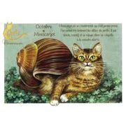 セブリーヌ 【 キャット ポストカード 】 Octobre Minescargot 10月 カタツムリ 猫 ネコ