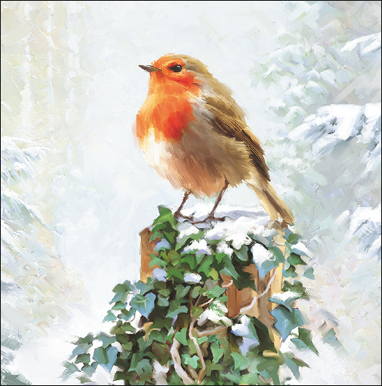 グリーティングカード クリスマス「コマドリ」 メッセージカード