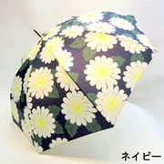 【雨傘】【長傘】風に強い耐風タイプ◎ブロッサム柄・軽くてさびにくいジャンプ雨傘