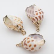 【夏アクセサリー】ゴールドで縁取った本物の貝殻パーツ/天然貝殻/最安値＆営業日当日出荷保証
