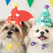 【2023春夏新作】 装飾 ペット お誕生日帽子 バースデー 可愛い 犬雑貨 装飾 撮影道具 記念写真