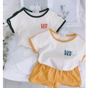夏人気 韓国風子供服 トップス     キッズ   Tシャツ+ショートパンツ  セットアップ 2色