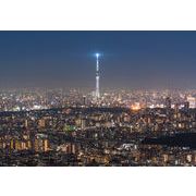 ポストカード カラー写真 日本風景シリーズ「東京の夜景・スカイツリー」105×150mm 観光地 郵便はがき