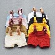 サロペット   ぬいぐるみ用服 人形doll  人形着せ替え ミニチュア ミニドール おもちゃ  17cm用 9色