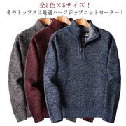 全5色×5サイズ！セーター ハーフジップ ハーフジップセーター 送料無料 メンズ ニット