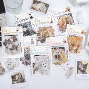 45枚 猫 シール 手帳ステッカー 日記ジャーナル装飾用品 ラグドール  ぶち猫 黒猫 ステッカー