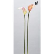 造花　ドライ　ディスプレイ　Ａ－３４３１８　カラーリリィ　＃００４Ｇ　ピ－チグリ－ン