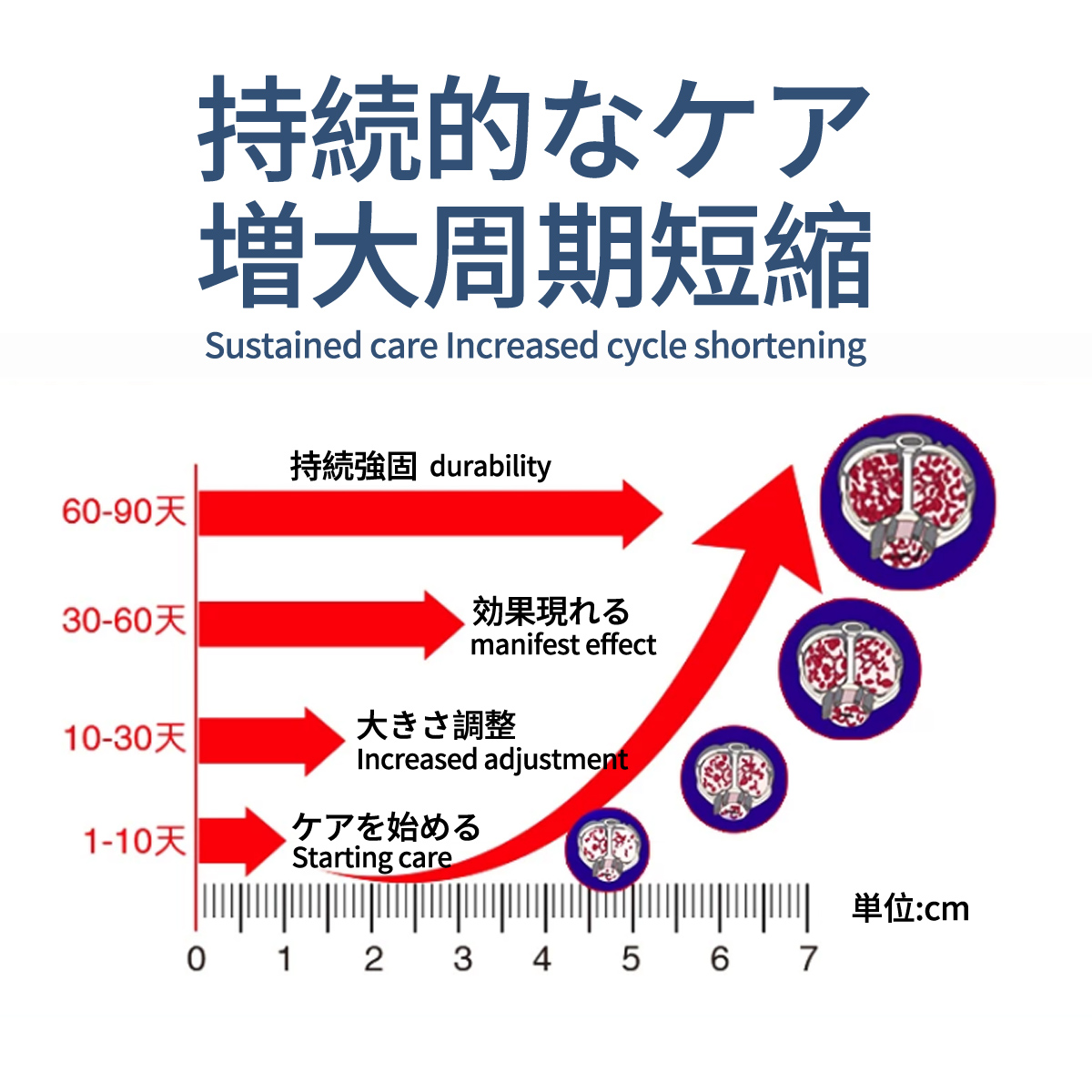 ペニス増大クリーム 人気ランキング パワー成分配合マッサージジェル 増大リキッド 男性用 増大持久力アップ 遅延マッサージリキッド シトルリン  アルギニン シトルリンを添加するよりも効果が高い プロフェッショナル版 自信増大ローション 50ml