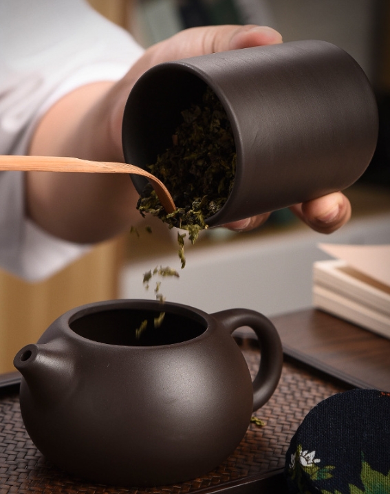 旅行の茶器 茶器セット 急須 ポット 中国茶器 煎茶道具 カップ