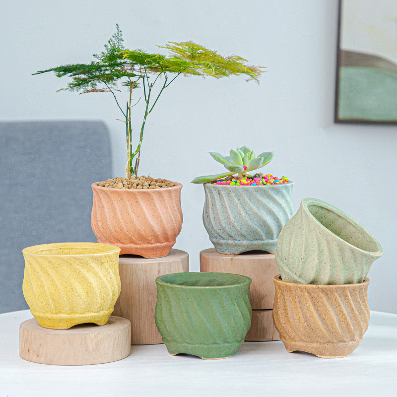 カラフル色がおしゃれな多肉植物フラワーポット サボテン 木盆栽