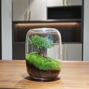 2024AW新品早割  INSスタイル 卓上置物 微景観花瓶 花瓶 洗練された 生命の木 微景観緑植  DIY