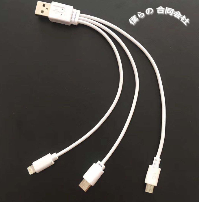 3in1充電ケーブル スマホ 充電ケーブル  Lightning/Type C/Micro USBケーブル 多機種対応 20cm  1M
