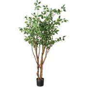 【造花】【グリーン】【人工樹木】160cmガジュマルツリー　グリーン　GLP-1553GR