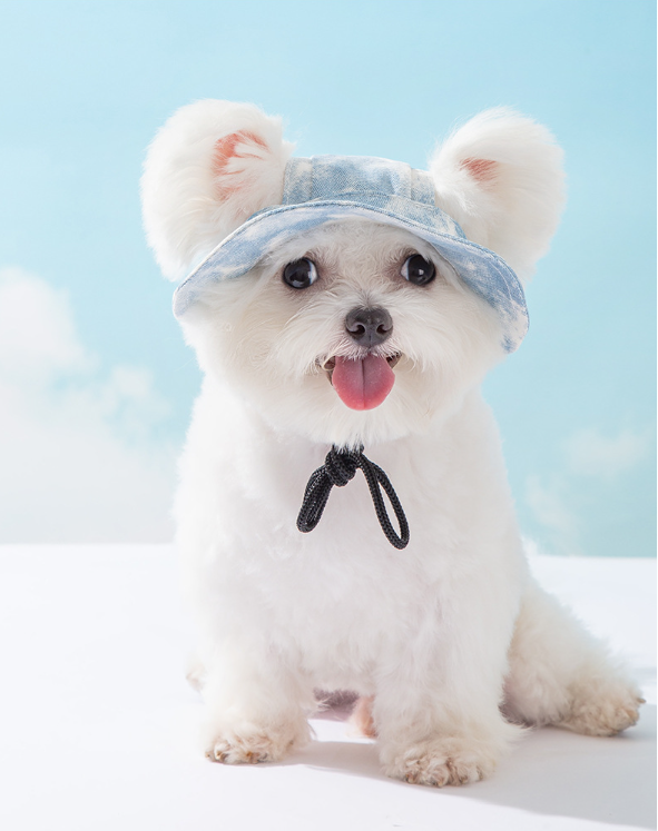 ペットの帽子 日除けの帽子 犬服 夏 小型犬 可愛い ファッション イヌ用 いぬ用 紫外線防止 夏バテ防止