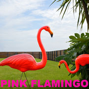 ガーデンオブジェ「PINK FLAMINGOS」