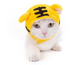 ペット帽子 コスチューム ペット用ハット ネコ 猫 犬  うさぎの耳 帽子  コスプレ パーティーグッズ