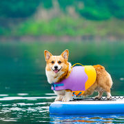 犬の水着ペットの救命胴衣浮力遊び水ラフティング服波水着胸バックコーギー