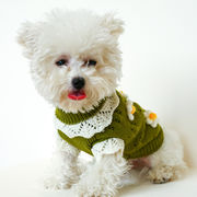 2024年春の新製品暖かく快適な犬のセーターの服ペットの猫の服花の花のセーター