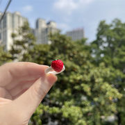 日本人気 可愛い 樹脂 いちごのリング  いちごのアクセサリー  女性の指輪  いちごの雑貨  イチゴのリング