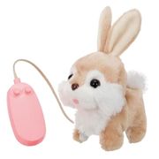 【数量限定特価】イワヤ リモコンでおさんぽ ピョンピョンロッピー