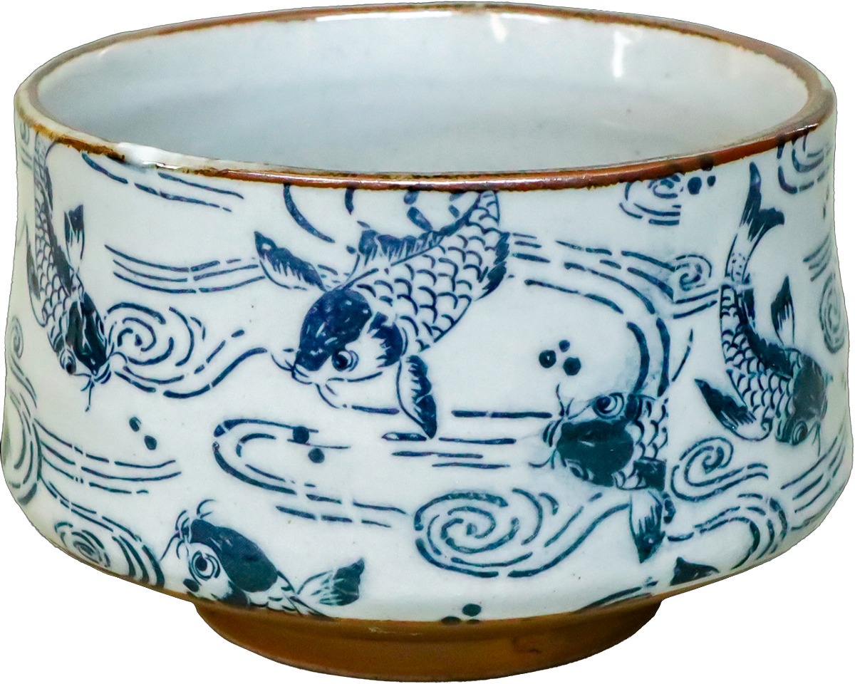 京阪錦鯉センター | 【2024.1.17 入荷 特選中国金魚】 【0117