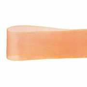 オーガンジーリボン　５０ｍｍ　1巻(25ｍ)　RO456350-012