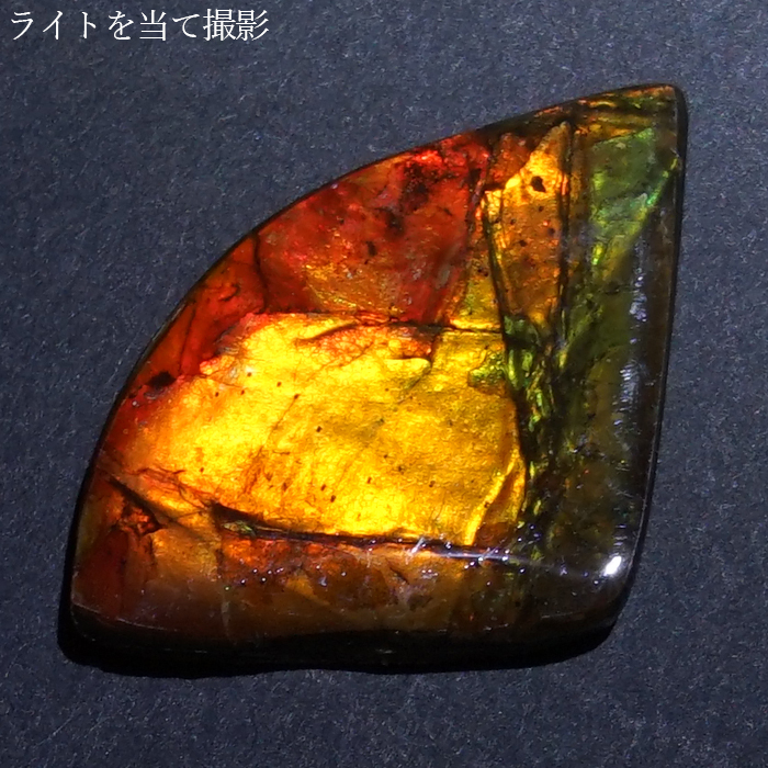 アンモライトルース　化石　原石　幅2.2cm 美品 アンモライトルース石化石アンモナイト