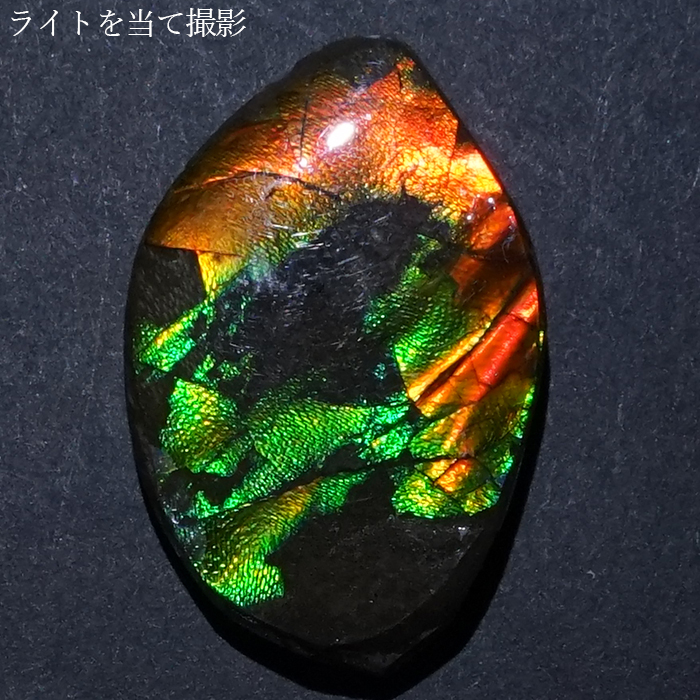 アンモライト ルース カナダ産 Ammolite 一点物 アンモナイト 化石