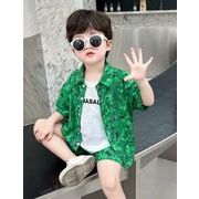 2024夏新作  ベビー服 韓国風子供服 男の子  半袖  トップス+ショートズボン  2点セット  90cm--150cm