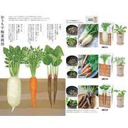 おうちで根野菜栽培セット【雑貨】