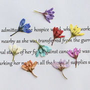 ユキノシタ 押し花 ハーバリウム 雪の下 プリザーブドフラワー 花 レジンアクセサリー スマホケース デコ電